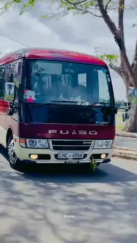 Fuso 🚀💗 සැප ඒවා 🥰❤️‍🩹 #fuso #trending #viral #bus  #creatorsearchinsights 
