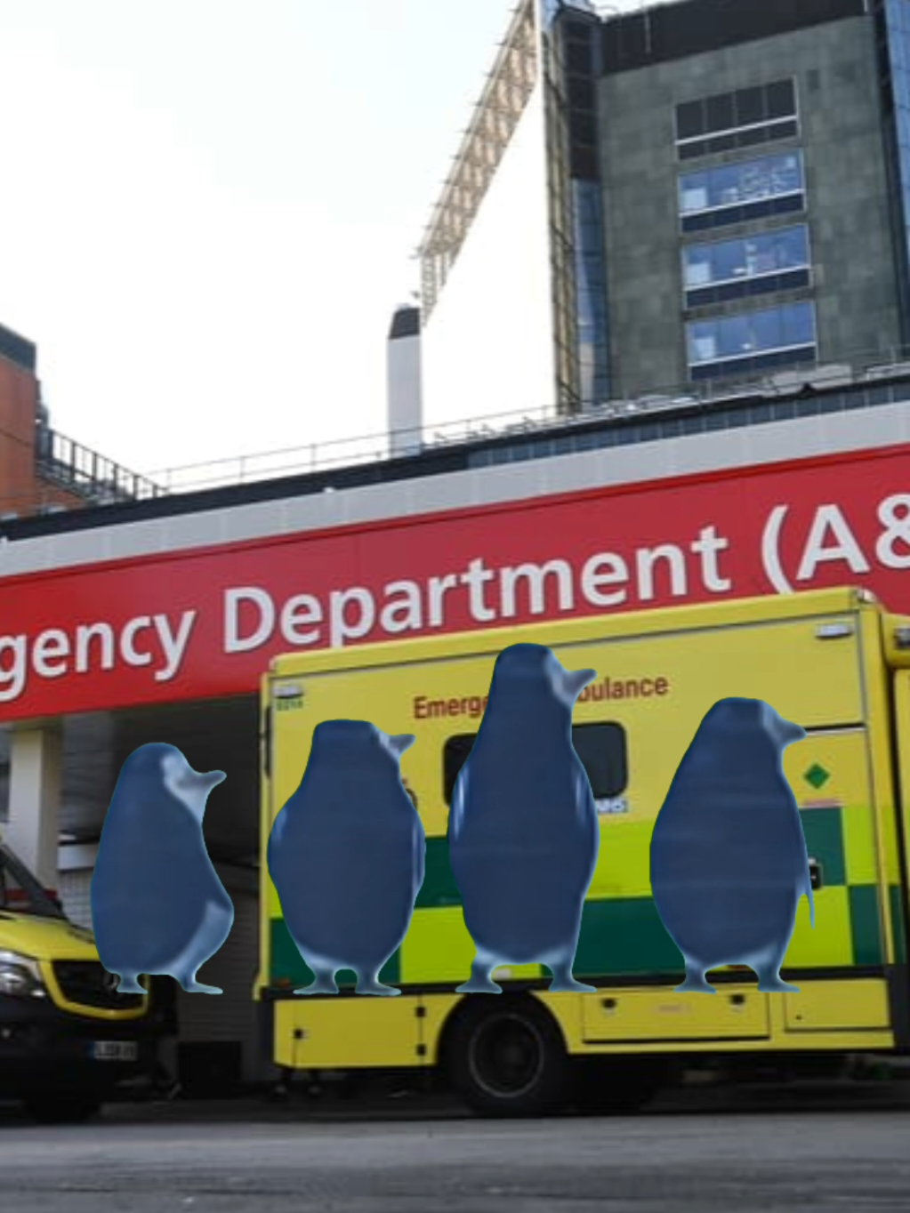 oh what fun we have 🤭 love a busy shift (i don't envy the nurses and doctors inside) #fyp #Meme #ambulance #studentparamedic #nhs 