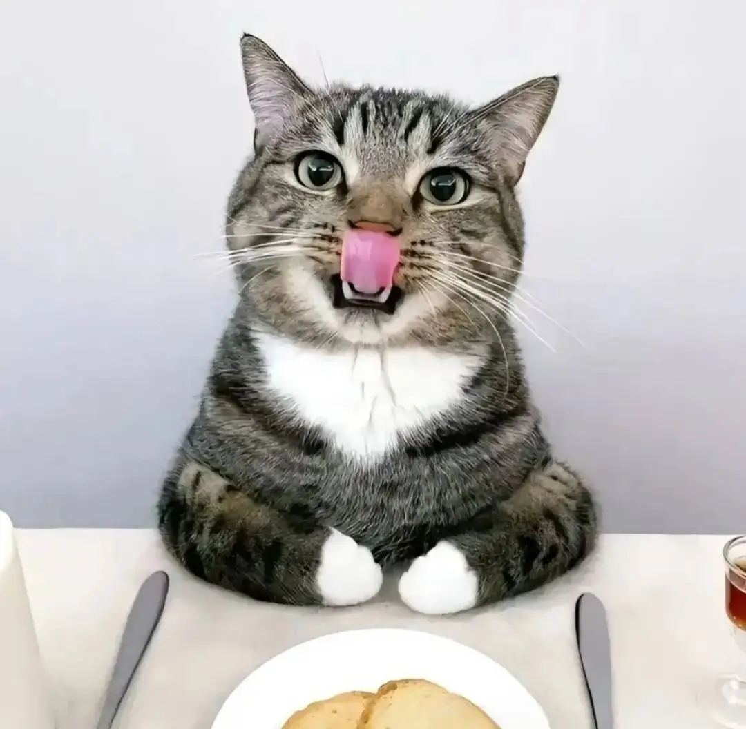 #Anime #fyp #beutiful #orihime #bleach 