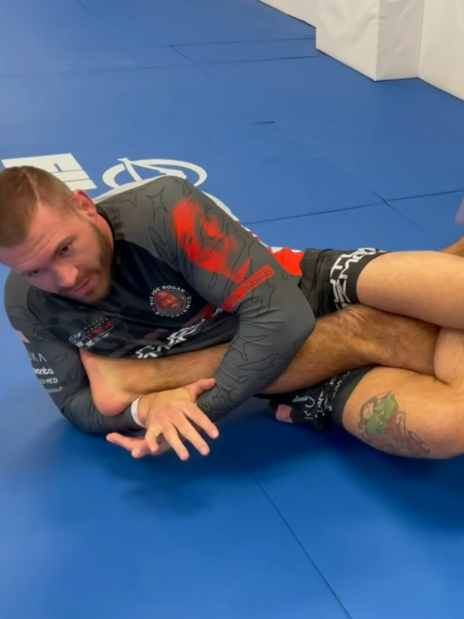 Análise Científica do Heel Hook (popularmente chamado de “chave de calcanhar”) Apesar do nome, o heel hook não atua diretamente no calcanhar. O que realmente acontece é uma torção violenta na articulação do joelho, resultante da rotação interna ou externa da tíbia em relação ao fêmur. Esse movimento força os principais ligamentos estabilizadores do joelho — como o ligamento colateral medial (LCM) e os ligamentos cruzados (LCA e LCP) — levando à ruptura. O aspecto mais perigoso é que, ao contrário de outras chaves, o heel hook quase não gera dor imediata: o praticante sente apenas a torção. Se tentar resistir em vez de bater, a consequência costuma ser uma lesão grave e instantânea, muitas vezes irreversível, no joelho. Por isso, essa é considerada uma das finalizações mais arriscadas do grappling moderno, exigindo extrema responsabilidade no treino e respeito absoluto ao tap.#jiujitsu #brazilianjiujitsu #grappling #heelhook