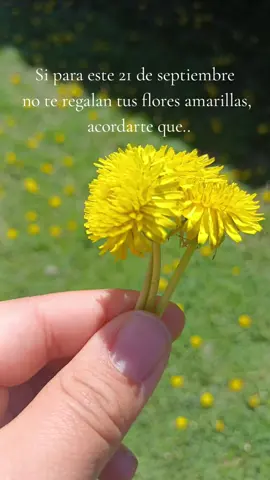 #primavera #floresamarillas #jesusteama 