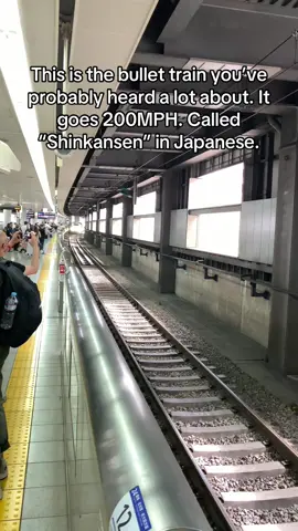 This is the Shinkansen aka bullet train. It goes 200mph  #travel #travelagent #japan #shinkansen #bullettrain 