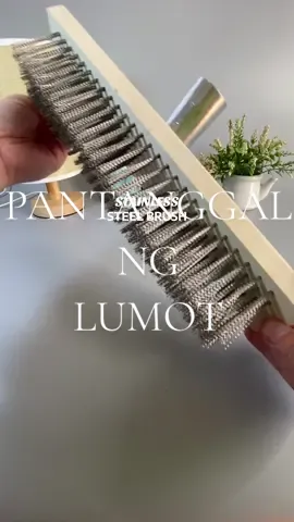 Mabisang pantanggal ng lumot! Very satisfying ang result nitong paggamit ko ng stainless steel brush! NASA YELLOW BASKET CHECKOUT MO NA! steel brush for flooring steel brush cleaning steel brush with long handle steel brush heavy duty steel brush cleaner life hacks Home cleaner #stainless #steelbrush #floorcleaner #lumot #fyp 