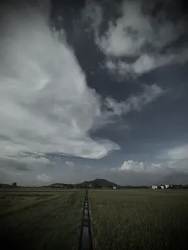 手里捧着的花，依然是大地之花，即使天地震动，你心里的那个人依然爱你 