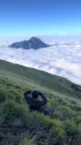 siapa yang pengen rebahan di sini🍃🍃  🎥@Riskiwjnrk_  #merbabuviasuwanting #pendakigunungindonesia #fypシ゚ #wislistmerbabu  #creatorsearchinsights 