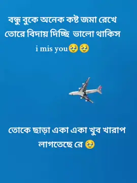 তোকে ছাড়া একা একা খুব খারাপ লাগতেছে রে আমার জিবনের চলার পথে সংগি ছিলি। তোর সবকিছু কে খুব মিস করবে। সকালের আড্ডা বিকালে খেলাধুলা । রাতে এক সাথে বসে গল্প করা সব কিছুতেই খুব মনে পড়ে আর একা একা বসে কান্না করি । ভালো থাকিস ওই দুর প্রবাসে ।🥹