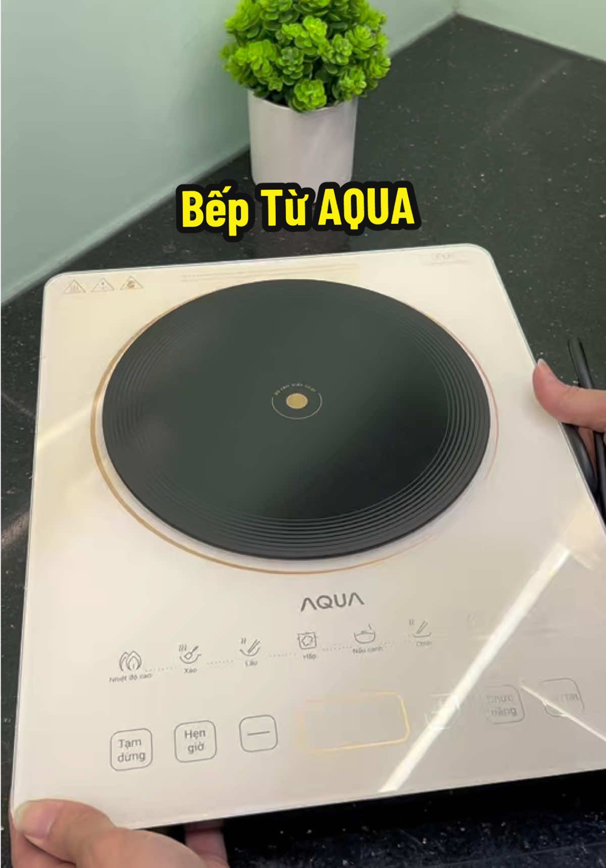 ☘️ Bếp Từ AQUA Đẹp lại Xịn Giá Siu Hạt Dẻ. Mua về mà Ưng Thật . Công suất 2.200W nấu gì cũng nhanh #viral #beptu #aqua #bepdien #bepdientu 