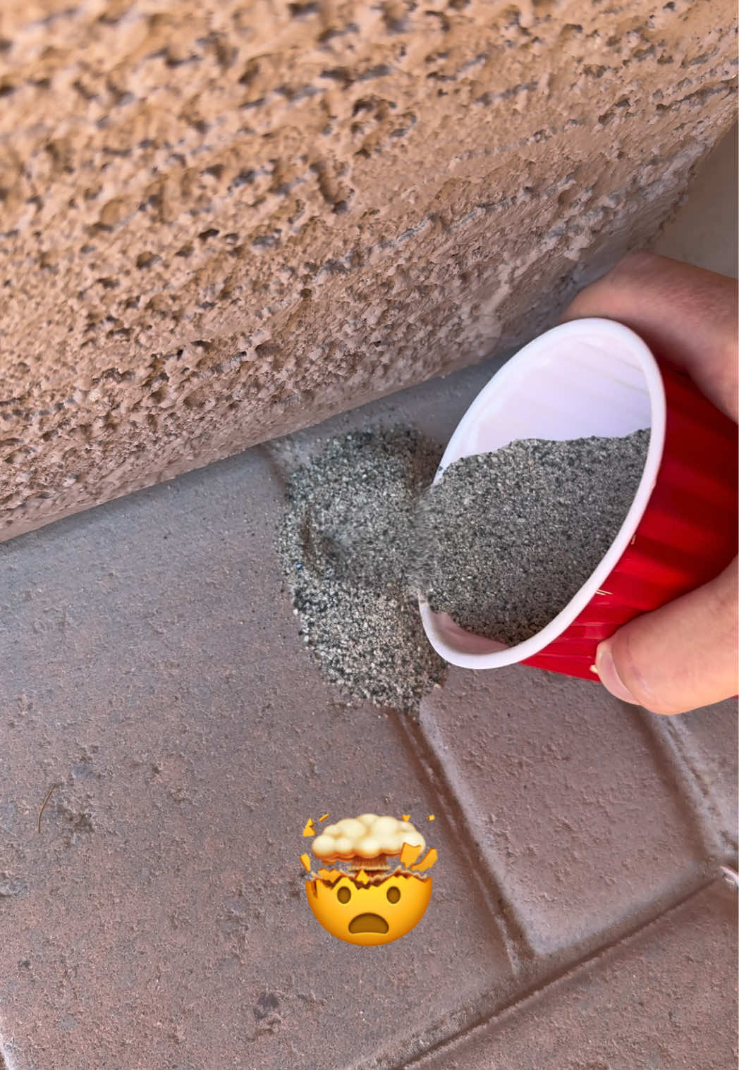 I’m gonna need to see this drill they got #termites #DIY #arizona 