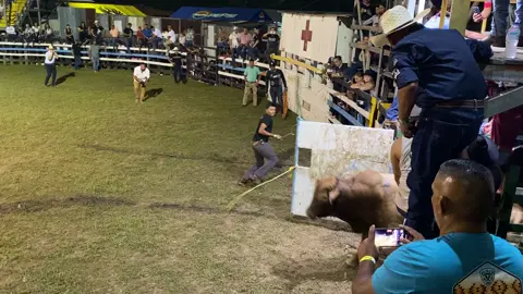 #de coral #el canelito 🐂🔥🔥