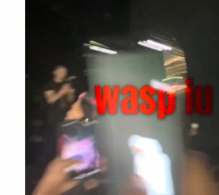 wasp iu em #kingvon #lyrics #viral #lilwasp 