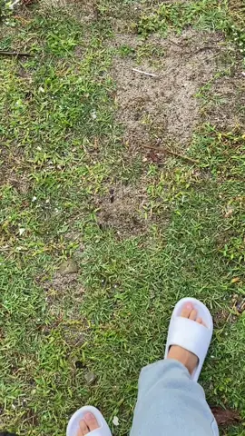 alhamdulillah smpe srau jg🙏🏻🥺 #pacitan #sraubeach #vavarioan #pantaisraupacitan 