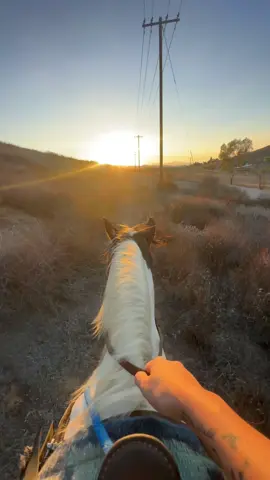 Nothing better than a sunset trail ride 🌅 