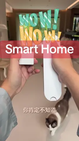 你肯定不知道！这些智能家居小玩意太绝了 🔥 原来家里的智能小玩意还能这样玩！从灯光到家电，全屋互联，生活幸福感直接拉满～✨ #智能家居 #装修 #全屋智能 #小米全屋智能 #科技改变生活
