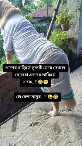কি বলো আপুরা 😁😁😁😜😜😜🤣foryou#viraltiktok #foryoupage #fbyツ #ফরইউতে_দেখতে_চাই 