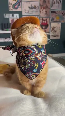 si oyen ceritanya jadi Zoro 😎😎