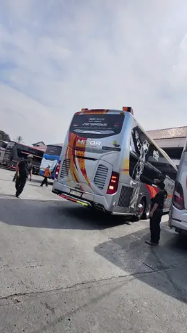 MIYOR teronton bis Sumbar premium #miyor 