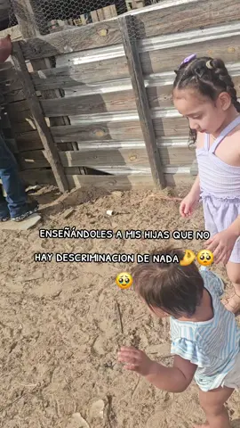 🥺 #LIVEIncentiveProgram 