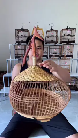 lồng cu gáy, lồng chim cu gáy #longcugay #longchimcugay 