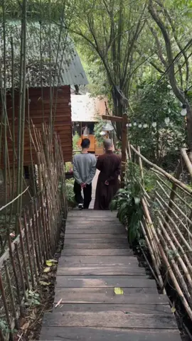 Những bức tranh lặng #dalat #tranh #fypシ゚ #thiennhien 