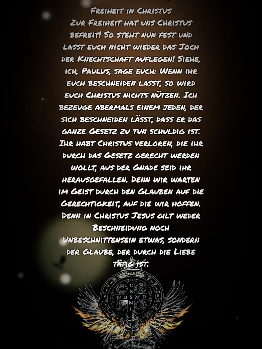 #deutschland #antifa #linke #afd #viral_video_tiktok 