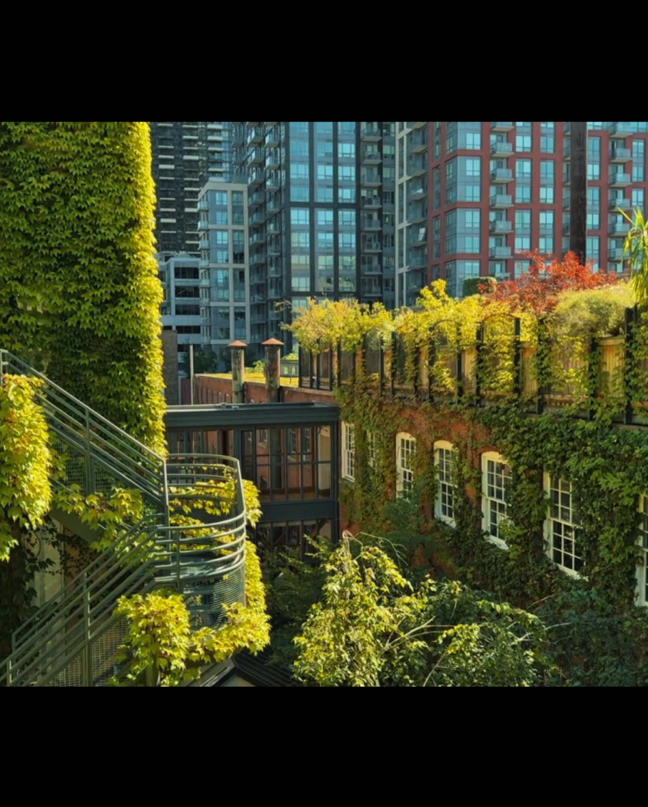 A little sneak peek into my day,full vlog coming soon✨   #Vlog #cinematic #xybca #dayinmylife #fypシ゚    