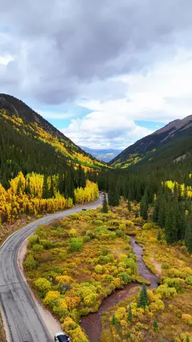 Today’s gorgeous view 🍁🍂from Guanella Pass, CO 🏔️. #fallcolors #autumn #autumnleaves #guanellapass #coloradofallcolors 