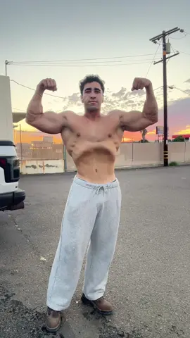 Could I be a bodybuilder if I took lifting & diet seriously?