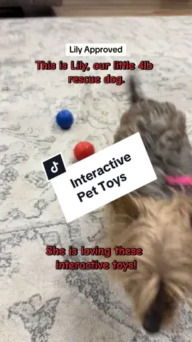 SPOVEN Cat&Dog Toy - Interactive USB Rechargeable Ball Toy on Rug, Anti-Depression Fun Gift for Cats & Dogs.  #cattoy #dogtoy #balltoys #pettoy #pets 