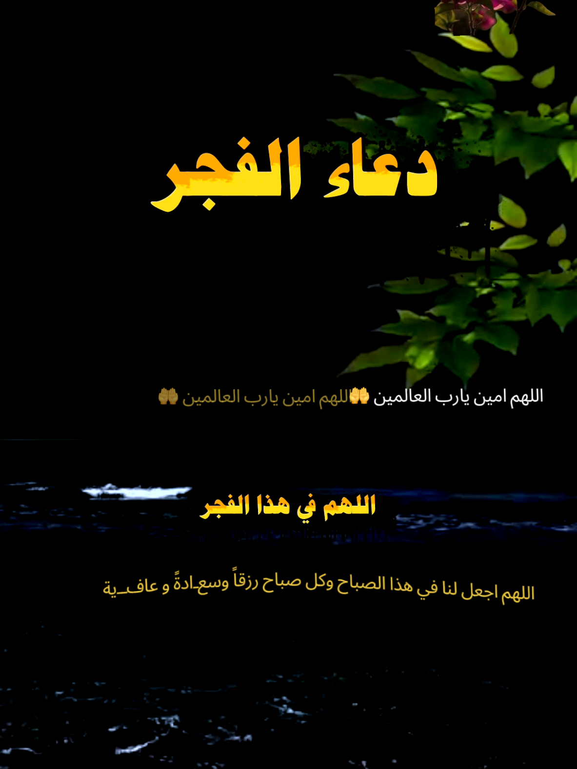 اللهم اجعل لنا في هذا الصباح وكل صباح رزقاً وسعـادةً و عافــية..#صباح_الخير #صباحكم_معطر_بذكر_الله #ألابذكر_الله_تطمئن_القلوب #دعاء #مقاطع_دينية 