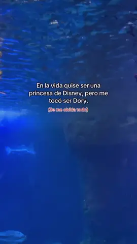 Literal!!!... tenganme paciencia 🐟🐟😅😅😅...
