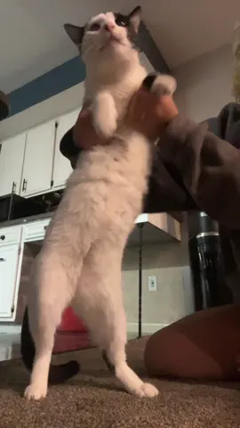hi bobby 