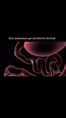 How medications are absorbed in the body #biology #fypシ #medicine #medication #Science 