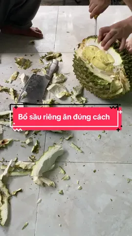 Bổ sầu riêng ăn đúng cách😂😂😂 #saurieng #sauriengdaklak #sauriengchincay #sauriengthai 