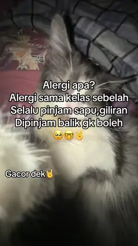 gAk MoDaL bAnGeT sih🆙🆙👹#gasukaskip📵 #foryoupage #4u #masukberanda #xyzbca 