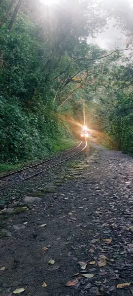 🚂🚂🚂📍📍📍VIAJE EN TREN Para tu viaje en tren 🚂 a Machu Picchu, te ofrezco esta descripción: ​Sube a bordo en Ollantaytambo para un viaje mágico en tren. El paisaje cambia de campos verdes a un exuberante cañón andino, con el río Urubamba a tu lado. Harás una parada en el Km 104 para comenzar una caminata de 6 horas a la Puerta del Sol, con vistas panorámicas de Machu Picchu. Luego, desciende al santuario para un recorrido guiado, explorando sus fascinantes ruinas. Al final del día, relájate mientras el tren te lleva de regreso. Este viaje combina la emoción de una caminata con la comodidad de un viaje en tren, ofreciendo una experiencia inolvidable. #mariatourguide2025  #machupicchuperu🇵🇪 #trenamachupicchu🚂 #ExperientialTravel  #cusco_peru🇵🇪 