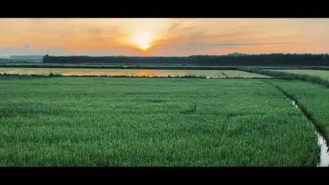#CapCut EDM chill woth dawn brilliant . #capcutradio #nomoregoodbyeremix #capcutpioneer #pioneertemplate 