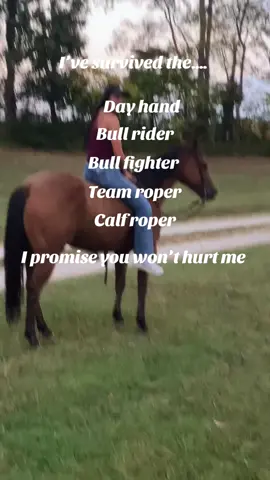 Runner up…. Ranch Cowboys ??? 