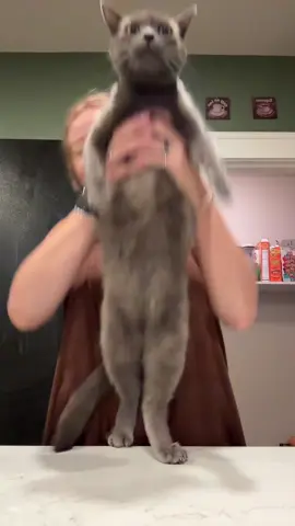 @Julia Andersson  Sully says “mom send help please” 