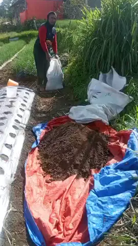 Dengan apa pun, pupuk MagneWish bisa menopang yang biasa menjadi istimewa.. 