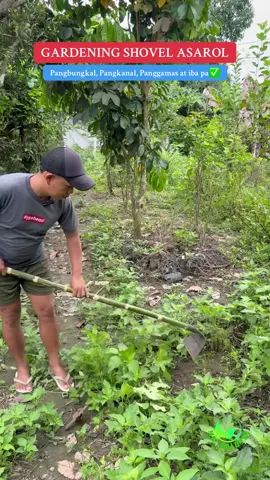PANG GAMAS, PANG BUNGKAL NG LUPA, AT PANGGAWA NG KANAL AT MADAMI PANG IBA , ito ang gardening shovel o asarol #gardeningshovel #gardeninghoe #asarolforgardening #gardentool #gardencultivationtools 