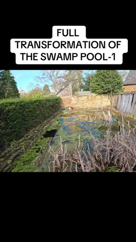 FULL TRANSFORMATION OF THE SWAMP POOL-1