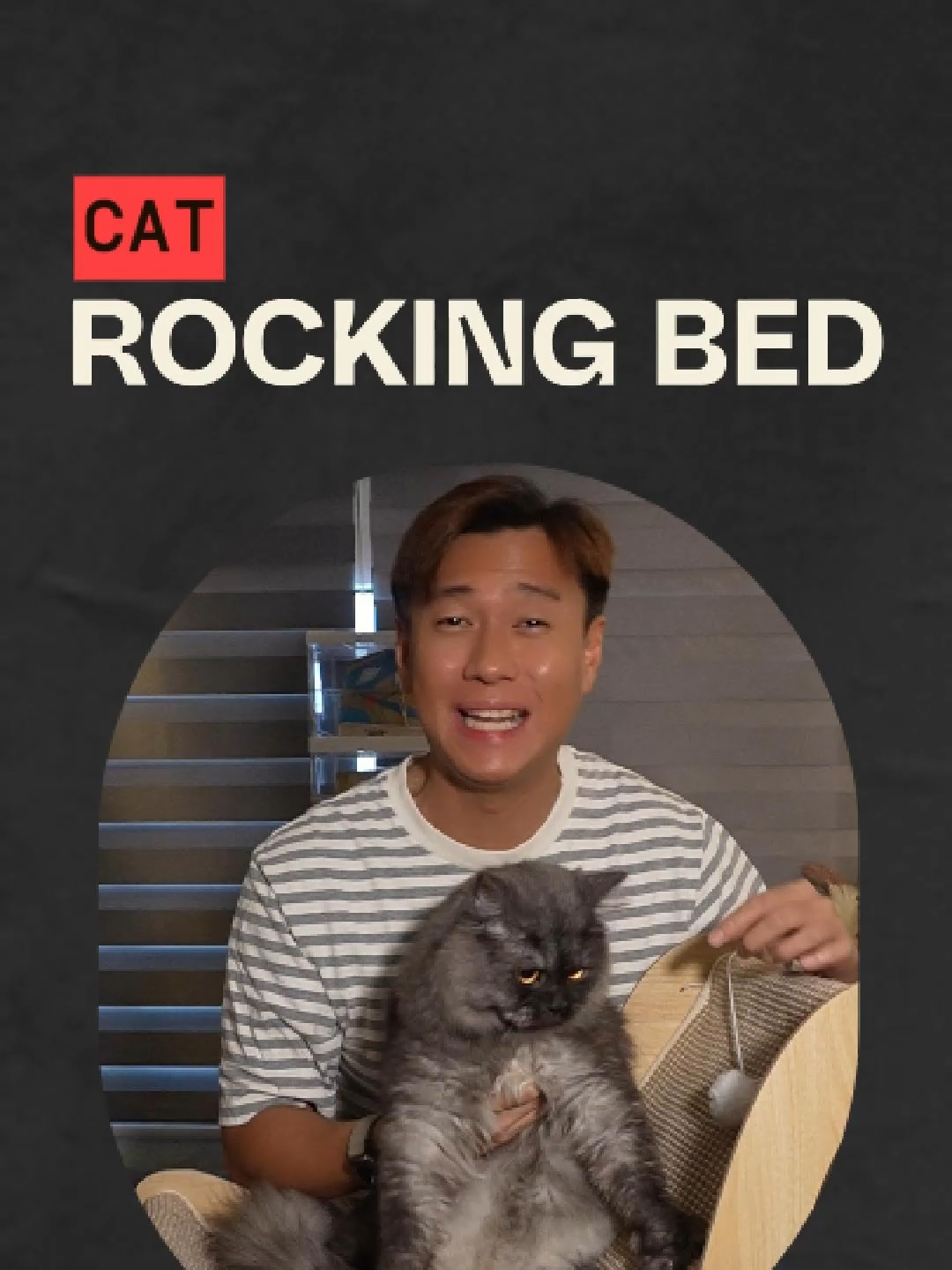 “Cat Rocking Bed – Sofa & Curtain Saver ”#CatFurniture #CatLovers #PetRockingBed #CatScratcher #TikTokMadeMeBuyIt