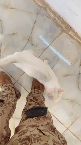 #العراق #اكسبلور #بغداد #مشاهير_تيك_توك #اكسبلورexplore 