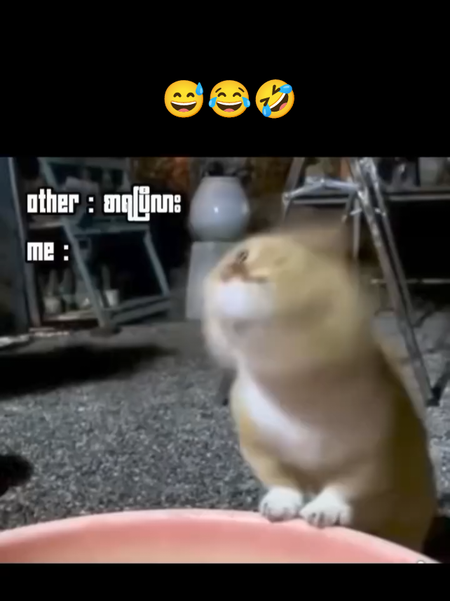 #ဟုတ်တယ်မလား @Yoon Nadi💙 @yin yin thant #မင်းတို့ပေးမှ❤ရမဲ့သူပါကွာ #fypage 