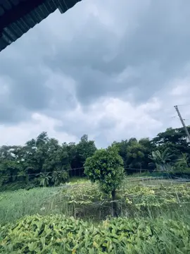 মানুষ মূলত একা...অমূল্য এই পৃথিবীতে ভালোবাসার কাছে সব-ই মূল্যহীন..!💔#foruyou #foruyou #vairal #bdtiktokofficial #foruyoupage @TikTok Bangladesh 