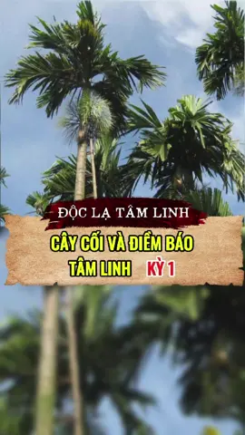 Những cây cối có điềm báo tâm linh, mang những hàm ý bí ẩn mà ko phải ai cũng biết. Có những điều nên và ko nên làm Kỳ 1 #doclatamlinh #chuyenla #chuyentamlinh #kechuyen #caycanh 