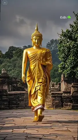 මේ ලොව පහල වූ හොදම මනුස්ස රත්නය.. බුදු රජානන් වහන්සේය 🙏☘️🤍