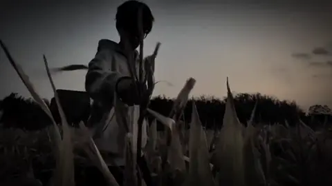 nàng là trinh nữ...#xun200912 #mautamtrangbuon💔🥀 #fbtxuhuong #ascend_enter 