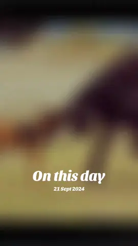 #onthisday