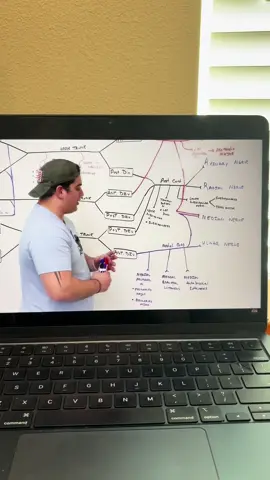 whoever bullied ninja nerd…. count your days #ninjanerd #medschool 